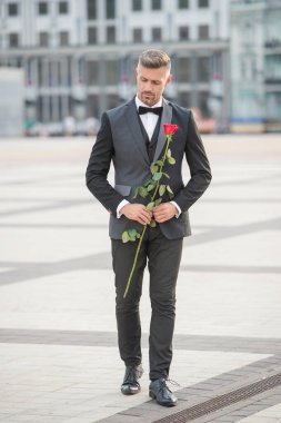 elegant man bridegroom in tuxedo. bridegroom wearing tuxedo walk outdoor. handsome bridegroom with red rose.