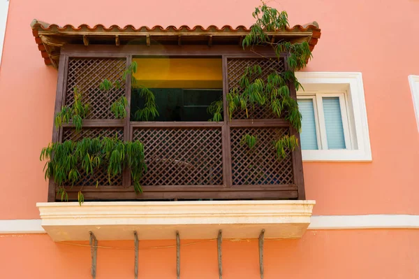 Bitkilerle Dolu Balkon Verandası Balkon Verandası Mimarisi Evin Balkon Verandası — Stok fotoğraf