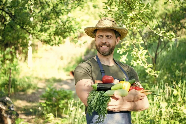Agronomista Słomkowym Kapeluszu Trzymać Świeże Dojrzałe Warzywa — Zdjęcie stockowe