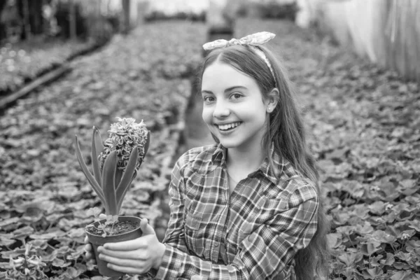 Ρετρό Ανθοπωλείο Φροντίδα Λουλουδιών Κηπουρική Κηπουρική Για Παιδιά Ευτυχισμένο Κορίτσι — Φωτογραφία Αρχείου