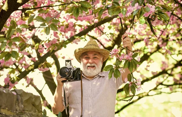 Travel Walking Cherry Park Hobby Retirement Tourism Holiday Traveler Camera — Fotografia de Stock