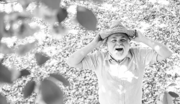 old man enjoy spring nature. union with nature. senior man with gray beard in straw hat. happy retirement. grandfather smiling while watching pink sakura blossom. man under cherry blooming tree.