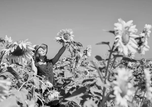 Gadis Lucu Dengan Topi Jerami Berjalan Peternakan Bunga Matahari Menghasilkan — Stok Foto