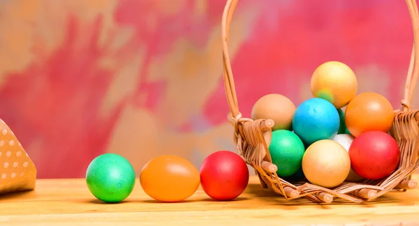 Красочные Яйца Корзине Здоровый Счастливый Праздник Покрасил Яйца Лоток Весенние — стоковое фото