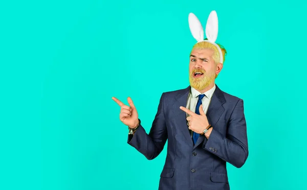 Preparation for holy sunday. Happy manager pointing fingers at something. Bearded man with bunny ears pointing green background. Pointing gesture. Pointing and promoting. Order now, copy space.