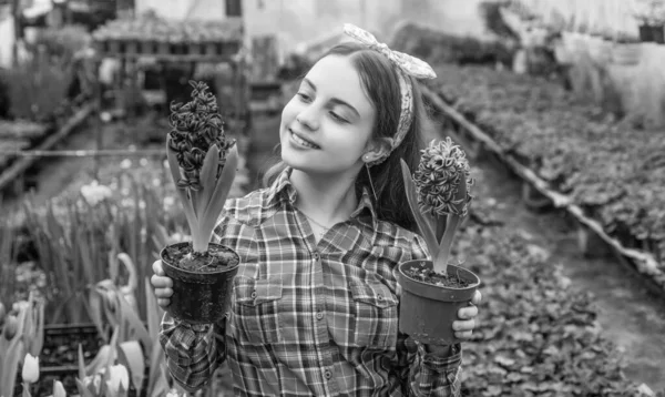 Feliz Menina Adolescente Florista Plantas Pote Cuidado Estufa Verão — Fotografia de Stock