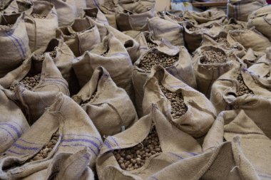 Çuvallar dolusu hindistan cevizi. Hindistan cevizli çuvallar. Çuvallar ve hindistan cevizi. Depodaki çuvallarda hindistan cevizi fotoğrafı..