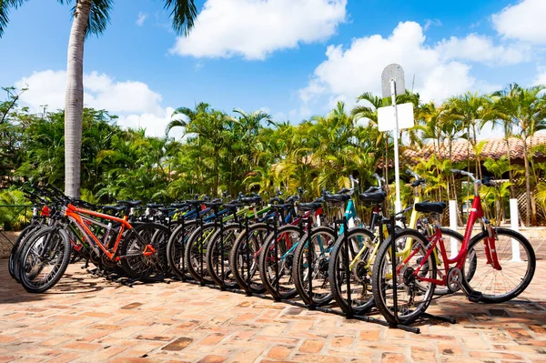 Santo Domingo Δομινικανή Δημοκρατία Φεβρουαρίου 2016 Πολλά Ενοικιαζόμενα Ποδήλατα Στο — Φωτογραφία Αρχείου