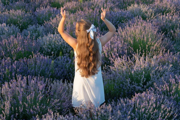 Teenager Mädchen Lavendelwiese Rückansicht Teenager Mädchen Lavendelblüten Freien Teenager Mädchen — Stockfoto