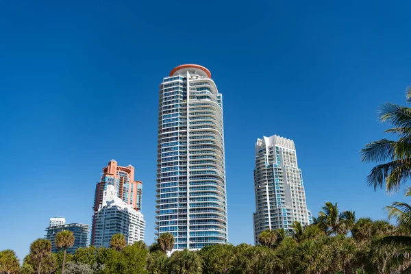 Ψηλά Κτίρια Και Παλάμες Στον Γαλάζιο Ουρανό Στο South Beach — Φωτογραφία Αρχείου