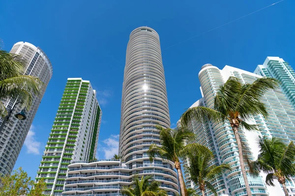 迈阿密巨大的摩天大楼 摩天大楼的照片 蓝天高耸的摩天大楼 露天摩天大楼 — 图库照片