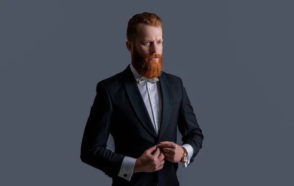 Eleganter Bärtiger Mann Tux Isoliert Auf Grauem Hintergrund Man Studio — Stockfoto