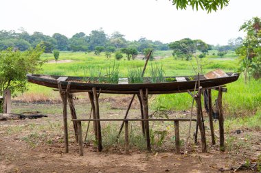 Çiçekli tekne yatağı görüntüsü. Açık hava teknesinin çiçek tarhı. Teknenin çiçek tarhı dışarıda. Kırsalda çiçeklenmiş bir tekne yatağı.