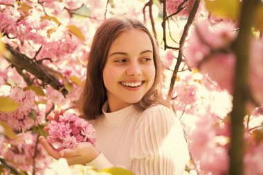 Sakura 'daki mutlu genç kız baharda çiçek açar..