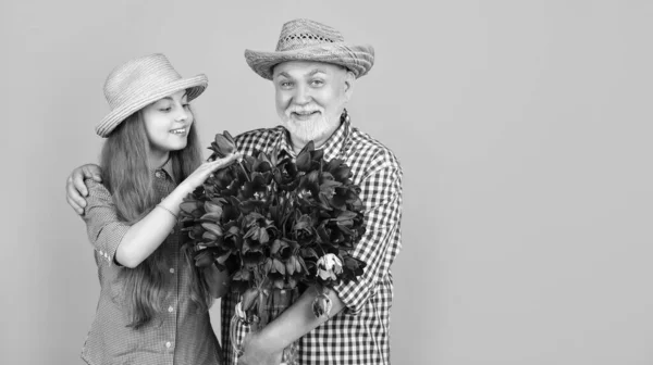 Neşeli Yaşlı Büyükbaba Torunu Sarı Arka Planda Lale Çiçekleri Tutuyor — Stok fotoğraf