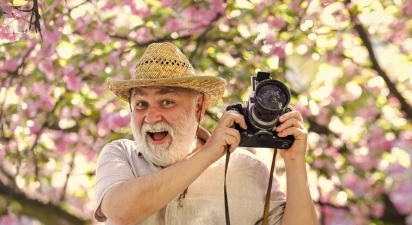 수염을 분홍색 사진으로 찍었다 디자이너 관광객은 벚꽃의 카메라를 사진을 찍었습니다 — 스톡 사진
