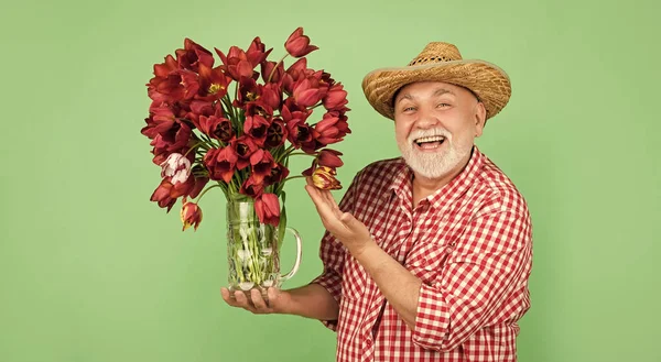 glad old senior man in hat hold spring tulip flowers on green background.