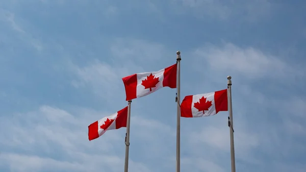 Wizerunek Kanadyjską Flagą Kanady Kanadyjska Flaga Kanady Liść Klonu Kanadyjskiej — Zdjęcie stockowe