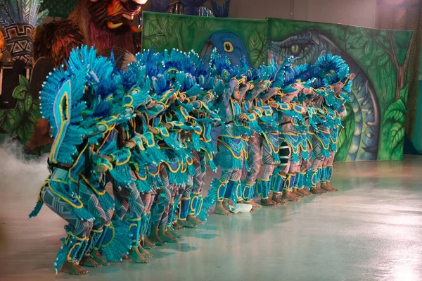 Паринтинс Бразилия Декабря 2015 Года Танцовщицы Самбы Бразильского Карнавала — стоковое фото