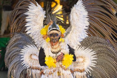 Parintins, Brezilya - 06 Aralık 2015: samba Brezilyalı karnaval dansçısı.