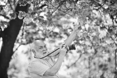 Şuraya bak. seyahat ve kiraz çiçekleri parkında yürümek. Emeklilik hobisi. Turizm ve tatil. Gezgin kameraman Sakura Bloom 'un altında. seyahat konsepti. Erkek fotoğrafçı kiraz çiçeklerinin tadını çıkarıyor..