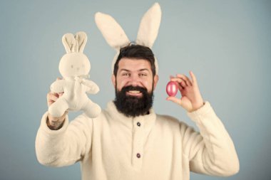 Join celebration. Bearded man wear bunny ears. Easter symbol concept. Easter shopping. Hipster cute rabbit long ears blue background. Easter bunny. Having fun. Funny bunny with beard and mustache.