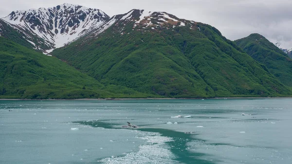 Natur Bergslandskap Med Snöiga Toppar Landskap Berg Alaska Foto Landskap — Stockfoto