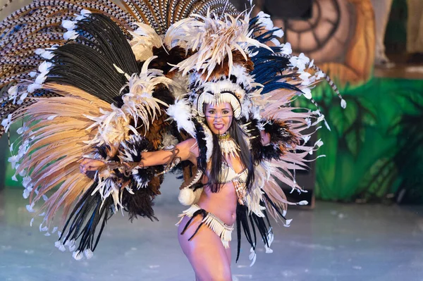 Паринтинс Бразилия Декабря 2015 Года Самба Бразильского Плотоядного Танцора — стоковое фото