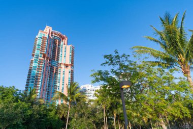 Palmiyeli gökdelen mimarisi. Miami 'deki gökdelen mimarisi. Gökdelen mimari binasının fotoğrafı. Mavi gökyüzünde yüksek gökdelen mimarisi.