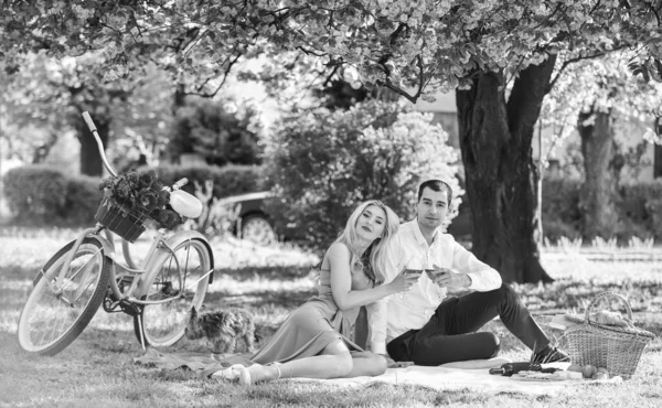 永遠の愛だ 公園でのロマンチックなディナーの間にワインを飲むのが大好きです ヴィンテージバイクが好きなカップルのピクニック 家族関係と友情 夏休み旅行 さくらの下の女の子と男 — ストック写真