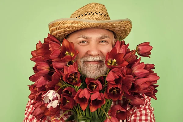 Alegre Velho Aposentado Homem Retrato Chapéu Segurar Primavera Tulipa Flores — Fotografia de Stock