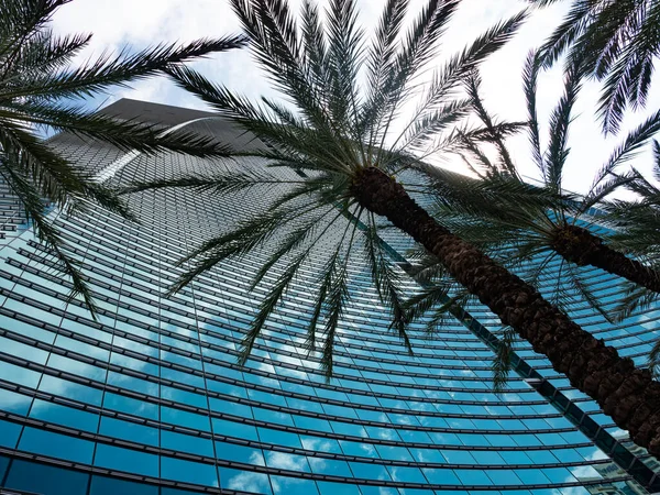 Wolkenkrabber Gebouw Architectuur Met Palmbomen Wolkenkrabber Gebouw Van Glas Wolkenkrabber — Stockfoto