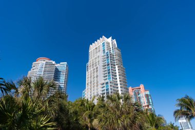 Güney Sahili, ABD 'de mavi gökyüzünde yüksek binalar, mimari ve palmiyeler modern gökdelenler blokları.