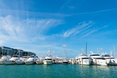 Sahil limanına kenetlenmiş bir yat. Yazın deniz kenarı limanında yat. Tatil için sahil limanında bir yat. Sahil limanındaki yatın fotoğrafı..
