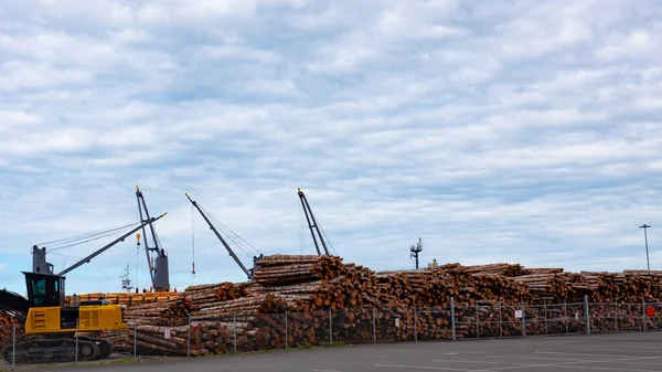 装载木材的装载机 建筑材料 室外砍伐原木干燥 堆放在锯木厂或木材厂的木材 硬木或软木 木材业 — 图库照片