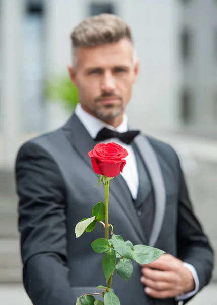订婚的概念 成熟的燕尾服男人庆祝订婚 带着玫瑰礼物订婚的男人 — 图库照片