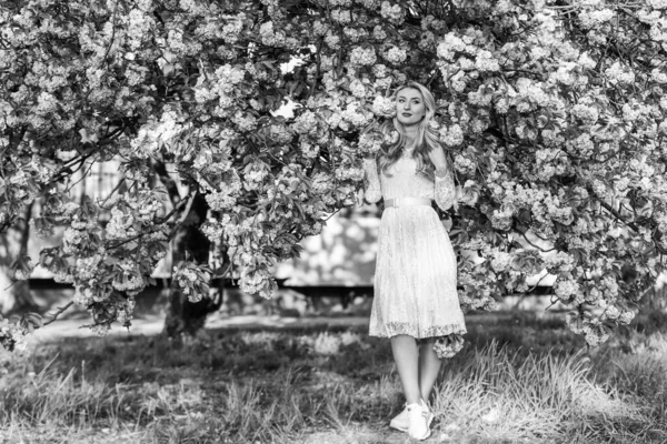 Εποχιακή Αλλεργία Χαμένος Στα Λουλούδια Κορίτσι Άνθος Κερασιάς Άνοιξη Μόδας — Φωτογραφία Αρχείου