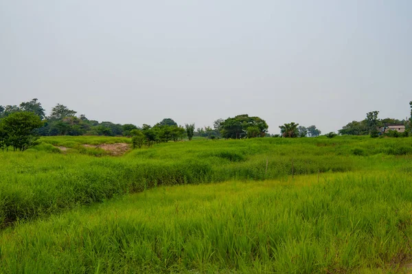 view of green rural landscape outdoor. rural landscape nature. photo of rural landscape look scenery. rural landscape in countryside.