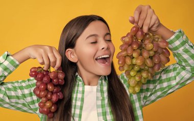 Sarı arka planda üzümlü mutlu genç kız..