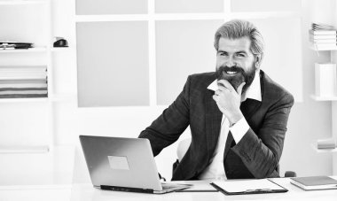 Finansal analiz. Standartları yükseltmek. Borsa. Ofis personeli konsepti. İş çözümleri. Riskli bir iş. Sakallı patron dizüstü bilgisayarla oturuyor. Yönetici sorunları çözüyor. Entelektüel görev.