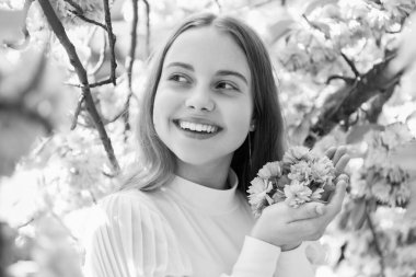 Sakura 'daki mutlu çocuk baharda çiçek açar..