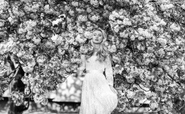 Bu anı aklında tut. Parktaki seksi kadın. Kiraz çiçekli bahar kadını çiçek açıyor. Pembe çiçekli kız. Japon sakura çiçeğindeki manken. Bahar Çiçeği 'ndeki güzel kız. Yaz güzelliği ve moda.