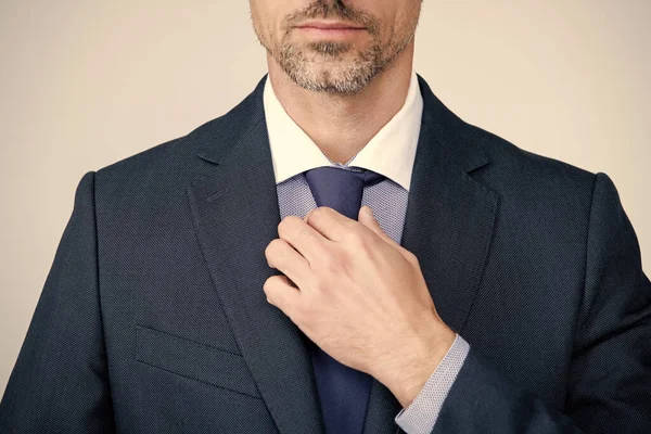Cropped Boss Formal Suit Necktie —  Fotos de Stock
