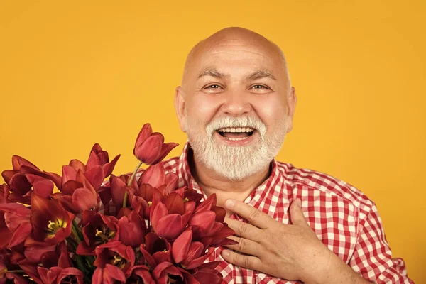 快乐而感恩的老大胡子男人在黄色的背景上握着春天的郁金香花 — 图库照片