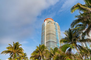 Florida 'da palmiyeli gökdelen mimarisi. Miami 'deki gökdelen mimarisi. Gökdelen mimarisinin fotoğrafı. Miami 'de gökdelen mimarisi.