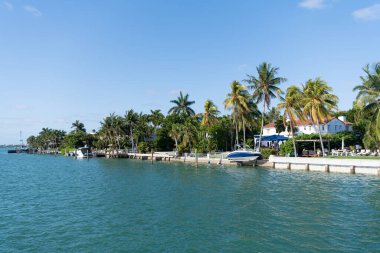 summer skyline landscape with palm trees at bay.