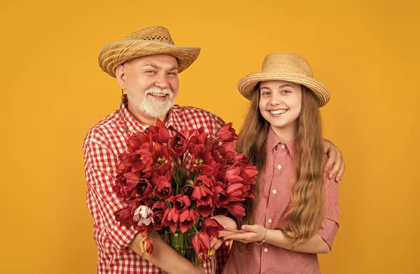 Smiling Old Grandfather Granddaughter Hold Tulip Flowers Yellow Background — Stock Photo, Image