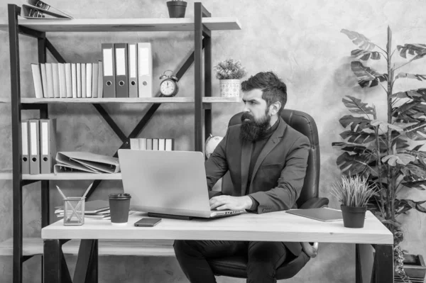 Confident Bearded Boss Study Online Laptop Office Business Education — стоковое фото