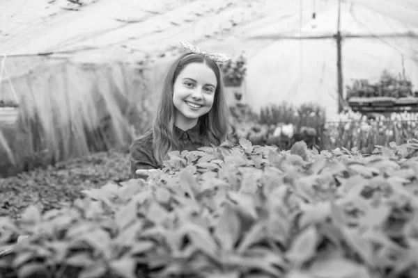 Feliz Adolescente Floristería Plantación Plantas Maceta Invernadero Jardinero —  Fotos de Stock
