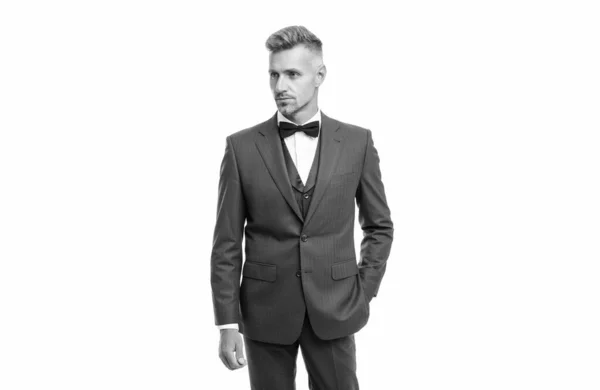 Grizzled Man Bow Tie Blue Suit Businessman Isolated White Gentleman — Stockfoto
